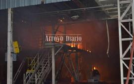 El incendio en la planta aceitera se desató ayer por la noche. Foto: Maximiliano Pascual