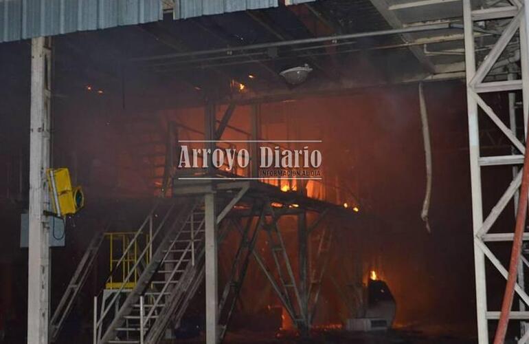 El incendio en la planta aceitera se desató ayer por la noche. Foto: Maximiliano Pascual