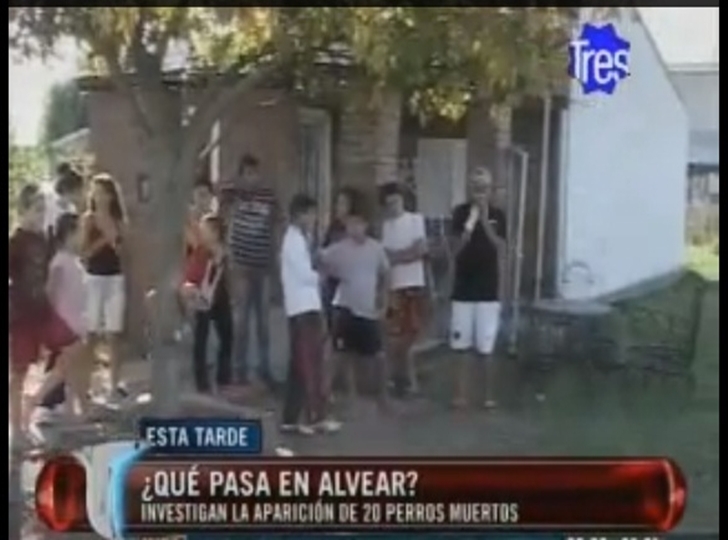 Imagen de Alvear: hallan 20 perros muertos en una semana y crecen sospechas