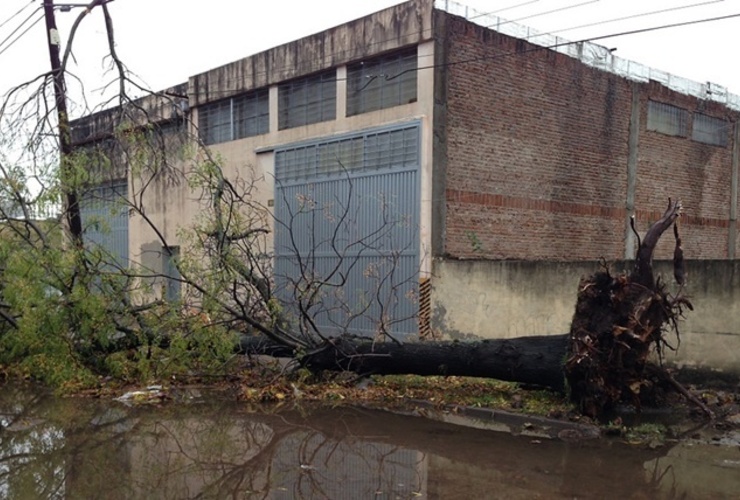 La tormenta derribó varios árboles en Villa Gobernador Gálvez. Foto: Periodico Todos