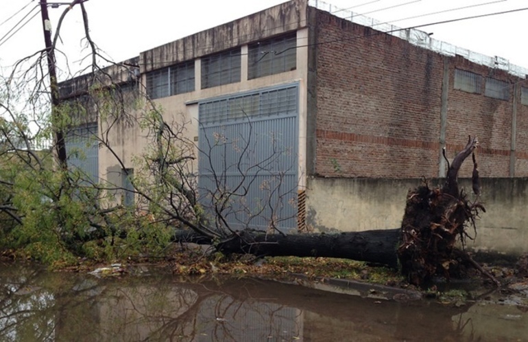 La tormenta derribó varios árboles en Villa Gobernador Gálvez. Foto: Periodico Todos