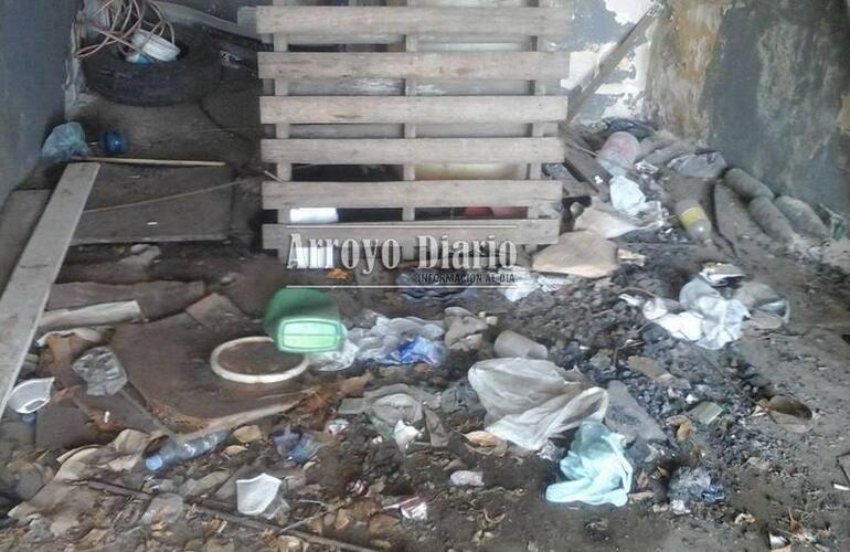 Los roedores aparentemente tienen su madriguera en el garaje del inmueble, así lo denunció la vecina