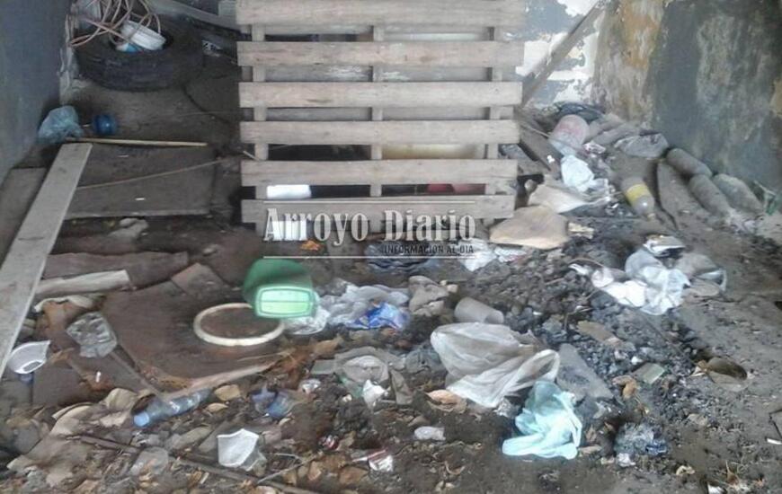 Los roedores aparentemente tienen su madriguera en el garaje del inmueble, así lo denunció la vecina