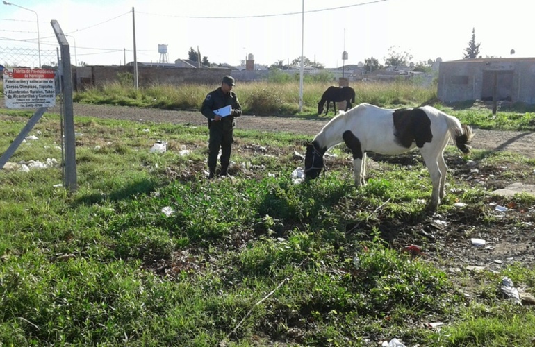 Foto: Gentileza Andr&eacute;s Acoroni