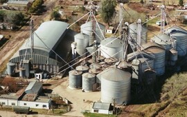 La Cooperativa Agrícola Ganadera se encuentra ubicada en los límites del pueblo, lindante a la zona rural. Foto: Diario El Sur