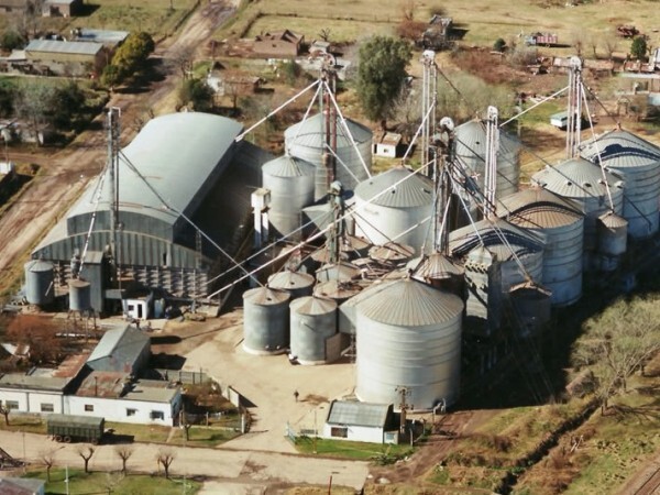 La Cooperativa Agrícola Ganadera se encuentra ubicada en los límites del pueblo, lindante a la zona rural. Foto: Diario El Sur
