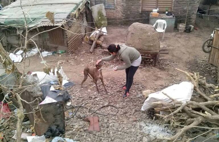 Por los barrios. Las proteccionistas fueron a buscar a los animalitos a distintos barrios de Arroyo Seco