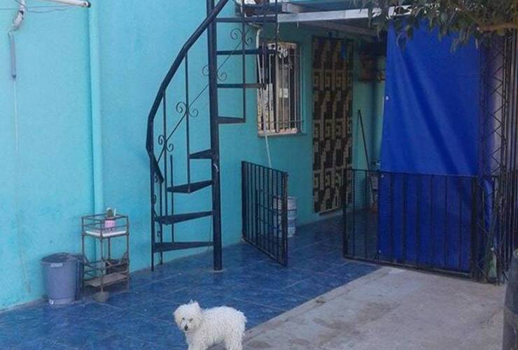 En el patio. Los ladrones ingresaron al patio de la casa, intentaron robar pero fueron atrapados por la familia. Crédito foto: Notilagos