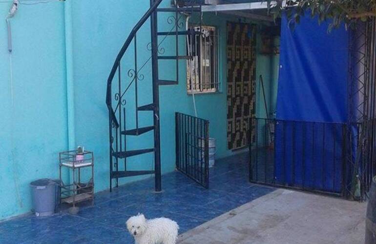 En el patio. Los ladrones ingresaron al patio de la casa, intentaron robar pero fueron atrapados por la familia. Crédito foto: Notilagos En el patio. Los ladrones ingresaron al patio de la casa, intentaron robar pero fueron atrapados por la familia. Crédito foto: Notilagos