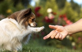 Foto: Imagen Ilustrativa