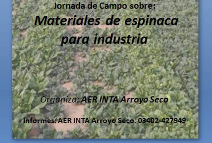 Organiza AER INTA Arroyo Seco