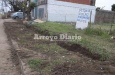 Anibal Maffei al 1100