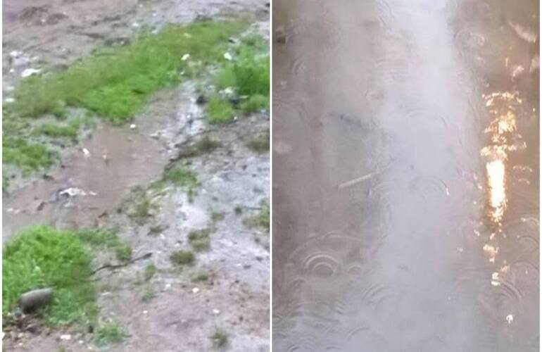 Fotos: Gentileza Mirta S&aacute;nchez