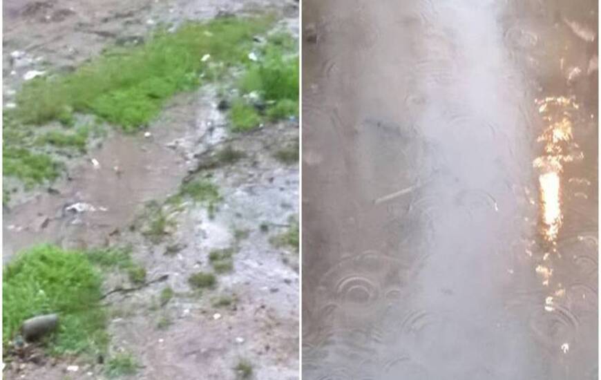 Fotos: Gentileza Mirta Sánchez