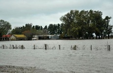 Historia repetida. Ayer muchos campos estaban cubiertos por las aguas tanto en Chab&aacute;s, Casilda como en San Jer&oacute;nimo, Carcara&ntilde;&aacute;, Funes y Rold&aacute;n.