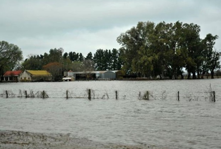 Historia repetida. Ayer muchos campos estaban cubiertos por las aguas tanto en Chabás, Casilda como en San Jerónimo, Carcarañá, Funes y Roldán.