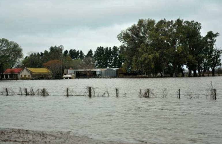 Historia repetida. Ayer muchos campos estaban cubiertos por las aguas tanto en Chabás, Casilda como en San Jerónimo, Carcarañá, Funes y Roldán.