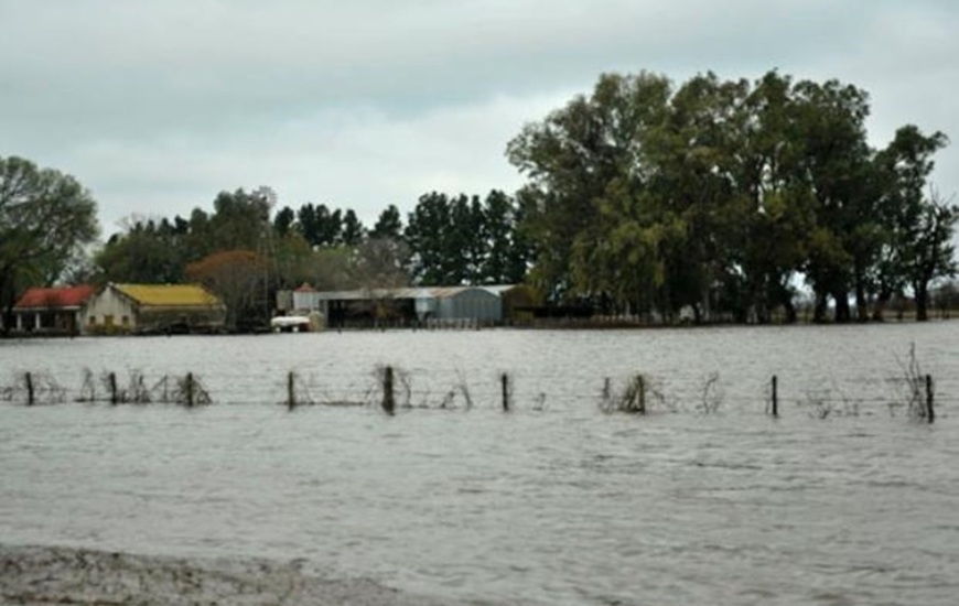 Historia repetida. Ayer muchos campos estaban cubiertos por las aguas tanto en Chabás, Casilda como en San Jerónimo, Carcarañá, Funes y Roldán.