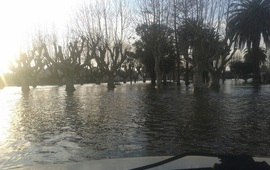 Foto: Gentileza Marcos Paván para AD