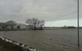 En el día de ayer también Bomberos Voluntarios de Arroyo Seco prestó colaboración en Sanford. Foto: Archivo AD