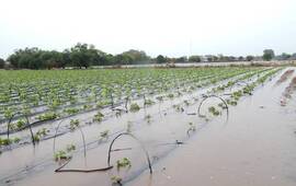 Foto: Imagen Ilustrativa