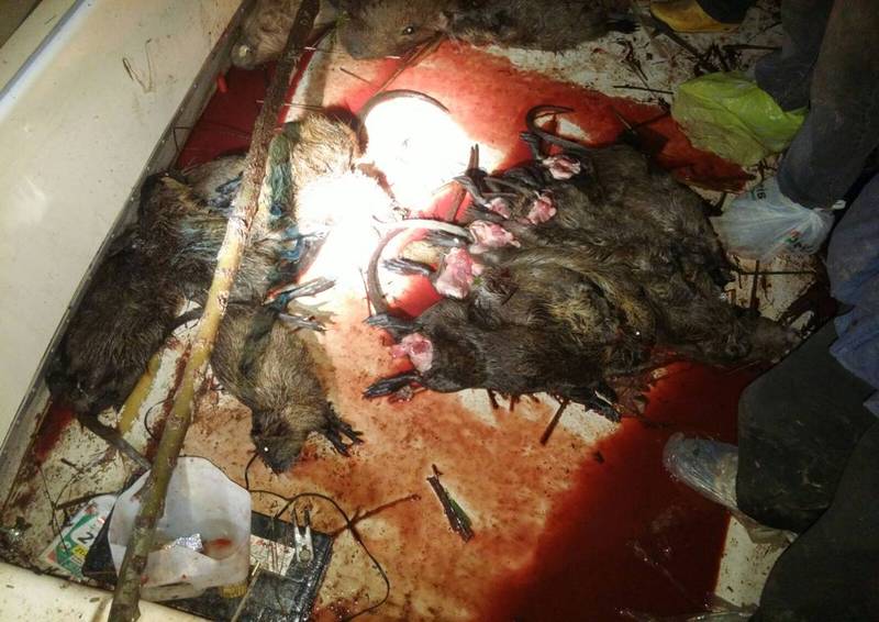 Foto: Gentileza Brigada de Prevención de Delitos Rurales