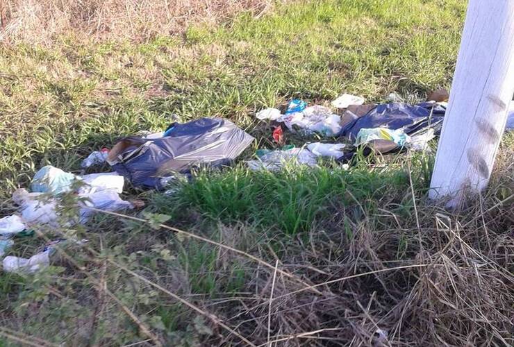 Imagen de Basura sobre el camino al Rowing Imagen de Basura sobre el camino al Rowing