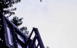 Foto: captura de pantalla video