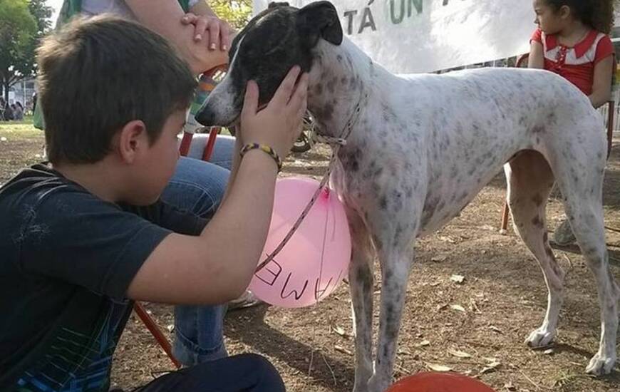 Foto: Facebook Bicheros de Arroyo Seco