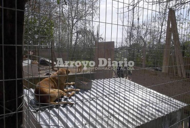 El refugio está ubicado en el ingreso al basural municipal, Ruta 21 y el acceso norte a Arroyo Seco