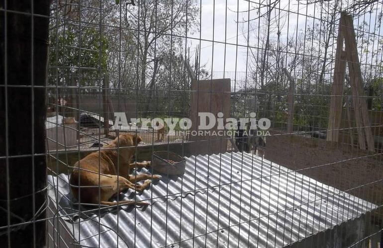 El refugio está ubicado en el ingreso al basural municipal, Ruta 21 y el acceso norte a Arroyo Seco