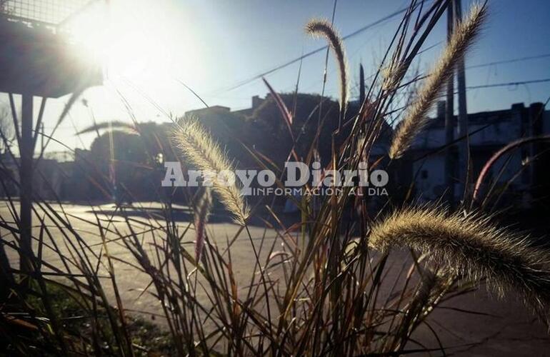 Cr&eacute;dito foto: Gonzalo Torres