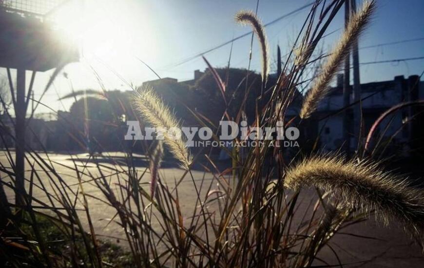 Crédito foto: Gonzalo Torres