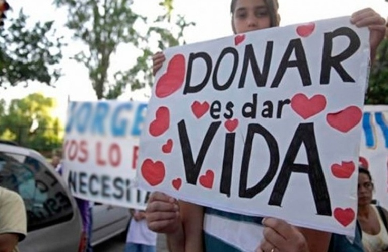 Imagen de La Justicia autoriz&oacute; a una mujer a donar un ri&ntilde;on a un hombre