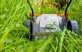 Foto: Imagen Ilustrativa