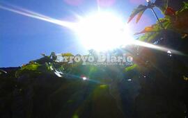 Sol a pleno para este sábado y domingo