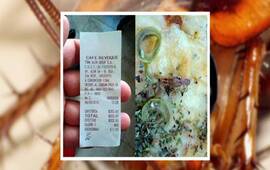 Imagen de Pidió una pizza y encontró una cucaracha