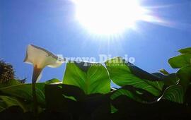 Imagen de Buen tiempo para todo el fin de semana