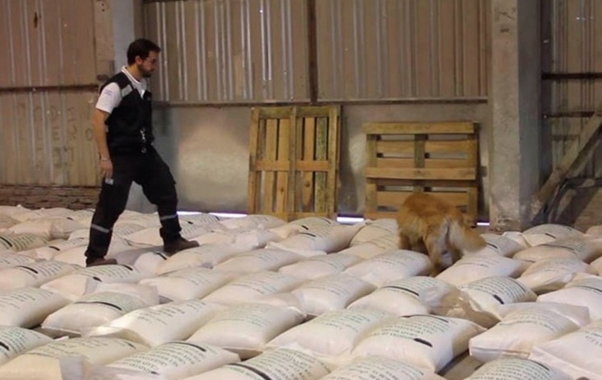 Imagen de Droga iba a salir bajo fachada de programa Hambre Cero de ONU