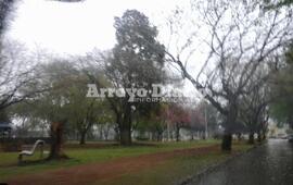 Imagen de Continúan las lluvias y se espera una máxima de 16 grados