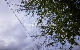 Foto: Gonzalo Torres