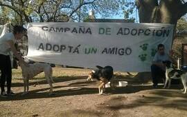 Foto: Facebook Bicheros de Arroyo Seco