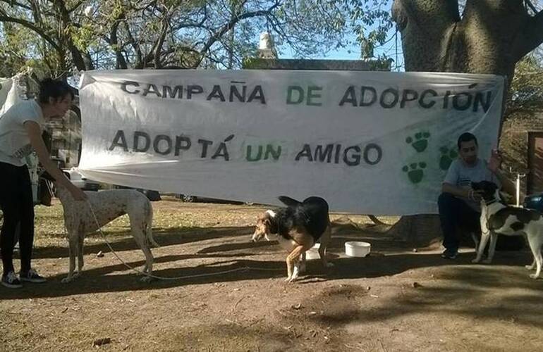 Foto: Facebook Bicheros de Arroyo Seco
