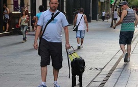 Imagen de Rosario: Avanza proyecto para subir las mascotas al colectivo