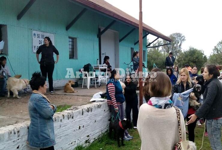 Imagen de Campaña de esterilización de mascotas en Arroyo Seco