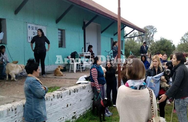 Imagen de Campaña de esterilización de mascotas en Arroyo Seco