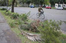 Muchas ramas caídas en el Parque Independencia. Foto: Rosario3.com