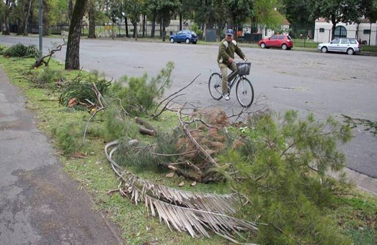 Muchas ramas caídas en el Parque Independencia. Foto: Rosario3.com