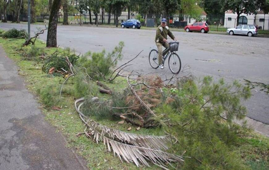 Muchas ramas caídas en el Parque Independencia. Foto: Rosario3.com