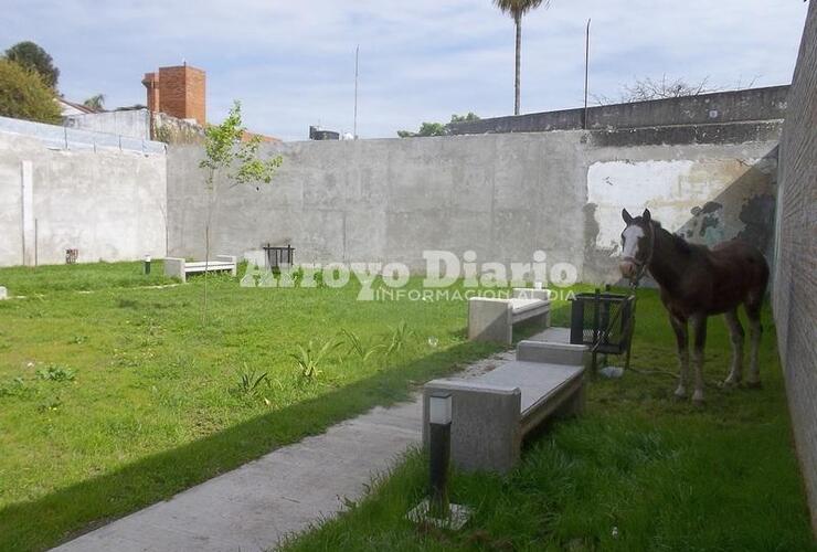 El animal fue trasladado a la seccional 27&ordf;